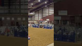 Reconditioning back into the rodeo grounds for 2025 season❗️trending viralvideo horse youtube [upl. by Elocan413]