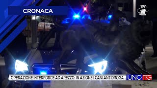 Operazione interforce ad Arezzo in azione i cani antidroga [upl. by Oluas]