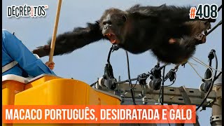 VACILO NEWS Macaco Português Levemente Desidratada e Galo da Justiça [upl. by Koy45]