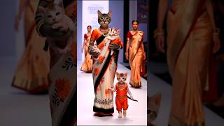 Cats Family Fashion Show 😻💫💃 cat baby shorts trending [upl. by Aneeroc]