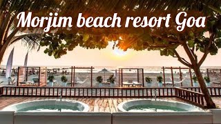 Sinq beach resort Morjim North Goa best beach [upl. by Trammel193]