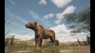 Animalia Survival  Lion for life [upl. by Genaro621]