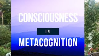 Consciousness in Metacognition [upl. by Channing794]