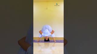 Yoga asana shortvideo yogapose urmiyogaacademy shorts youtubeshorts ytshorts headstand [upl. by Enohs]