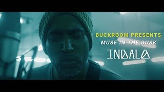 Buckroom Presents Muse in the Dusk  Session 1  Indalo [upl. by Maclean933]