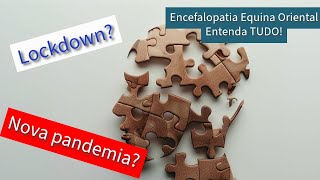 Novo Lockdown Entenda tudo sobre a encefalopatia equina oriental [upl. by Misa]