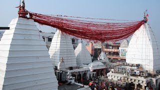 Live Darshan Baba Baidyanath Deoghar  देवघर लाइव दर्शन बाबा बैद्यनाथ ज्योतिर्लिंग [upl. by Desimone]