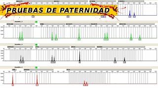 ¿CÓMO HACER UN PERFIL GENÉTICO  GENÉTICA FORENSE [upl. by Cynth]