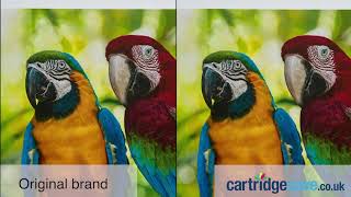 What’s the difference between Cartridge Save and original brand toner cartridges [upl. by Enamart396]