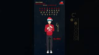 Silent Night  Christmas Carol Flute Recorder Tutorial  How To Play [upl. by Scharf]