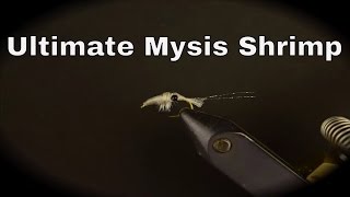 Ultimate Mysis Shrimp Fly Pattern [upl. by Bleier]