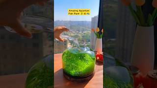 How to grow plant 2🌱 from seeds  Nano glass Vase aquarium  Planted glass bowl😱 aquarium plants [upl. by Yrgoerg540]