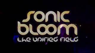 Sonic Bloom 2017 Recap [upl. by Eeraj632]