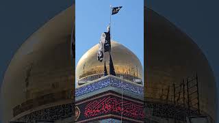 14 Muharram Ul Haram  Sham Syria  Live From Syeda Zainab Sa Shrine  muharram1446 1 [upl. by Issej667]