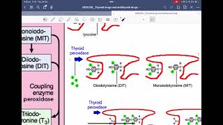 Thyroid and antithyroid drug [upl. by Lednahs]