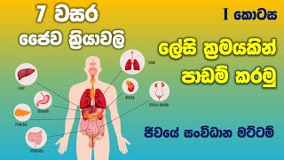 Grade 07 Science lessons in Sinhala  Unit 12  7 වසර විද්‍යාව 12 පාඩම 1 කොටස  ජෛව ක්‍රියාවලි [upl. by Eleira194]