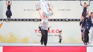 4K 近畿大学高知県人会 高知よさこい祭り 2024 本番２日目 中央 [upl. by Eahcim]