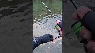 Top Lure Fishing Techniques for Big CatchesquotKi [upl. by Novad]