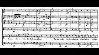 Mozart  Bastien und Bastienne 5  Aria Wenn mein Bastien einst im Scherze [upl. by Odrarebe]