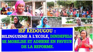 IEF Kédougou Dindéfélo se mobilise en faveur de la promotion du bilinguisme [upl. by Karolina269]