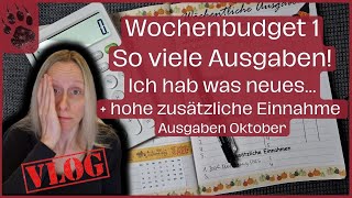 SPAREN Wochenabschluss 1 Oktoberbudget 😱 NEUES TEURER Start umschlagmethode budgetplanung vlog [upl. by Garrek]