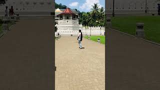 ❤️Kandy❤️ short  sri lanka viral [upl. by Enyaw]