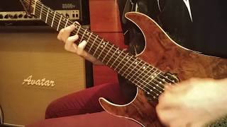 Castevet  Red Star Sans Chastity guitar cover [upl. by Annaili]