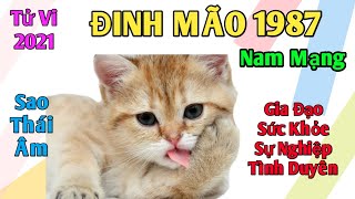 TỬ VI 2021 ĐINH MÃO 1987 NAM MẠNG [upl. by Ailekat]