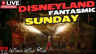 Disneyland Live Stream  Fantasmic Fireworks amp World of Color [upl. by Aaronson]