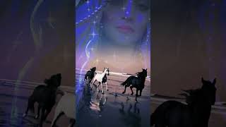 ✨SPIRIT LEAD ME✨ spiritleadme spirit god faith trust viralvideo spirituality horse love [upl. by Trutko]