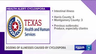 Dozens of people sick due to cyclospora parasite [upl. by Bulley]