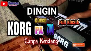 DINGIN KARAOKE Cover TANPA KENDANG [upl. by Adnarym]