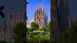 Discover the Heart of Sagrada Familia A Community Passion Project shorts barcelona explore [upl. by Hsima]