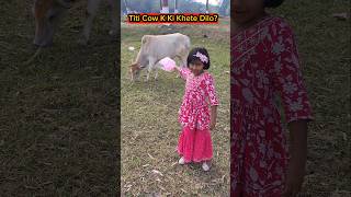 Titi Cow🐮K Ki Khete🍭Dilo😱🤣 shorts funnyvideo cow trishikarimpa [upl. by Neiv]