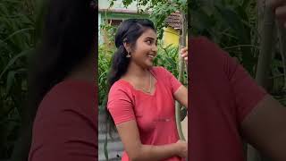 Thanthane thamara poo ringtone 💓 [upl. by Hanforrd]