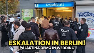 Arabische Demo eskaliert komplett 😱🔥 Berlin Wedding [upl. by Feerahs]