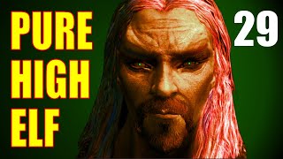 Skyrim PURE HIGH ELF Walkthrough 29  How to Harvest Blood Samples Discerning the Transmundane [upl. by Ahsennod]