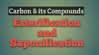 Chemical Reactions Part 4  Esterification  Saponification [upl. by Jacoby560]