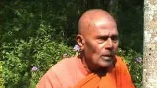 Bhante Gunaratana 7 How can you arouse energy in times of [upl. by Amada863]