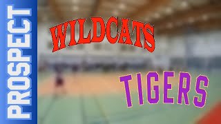 27 10 Wildcats vs Tigers – Prospect Div Jesień 2024 [upl. by Marron739]