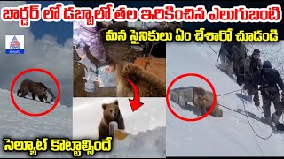 Indian Army rescues bear in Boarder దేశాన్నే కాదు మూగజీవులనూ కాపాడుతుంది ఇండియన్ ఆర్మీ [upl. by Ynottirb]