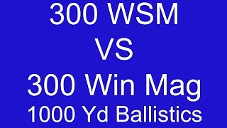 Part 2 300 WSM VS 300 Win Mag [upl. by Naimad413]