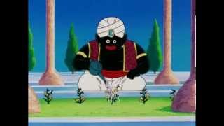 TFS DBZ Abridged  Garlic Jr meets Mr Popo [upl. by Ysle5]