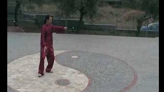 Chen Style Taiji Quan  Lao Jia Yi Lu  M° Giuseppe Paterniti [upl. by Onifur307]