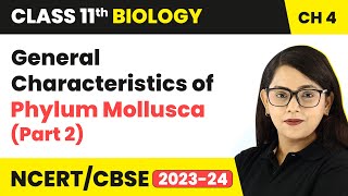 General Characteristics of Phylum Mollusca Part 2  Class 11 Biology Chapter 4  NCERTCBSE [upl. by Iharas]