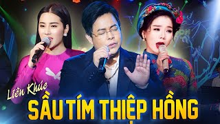 Quang Lê  Tố My  Lệ Quyên  Liên Khúc Sầu Tím Thiệp Hồng Nối Lại Tình Xưa  Official MV [upl. by Limaj]