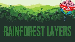 The 4 Layers of the Rainforest [upl. by Elleunamme]