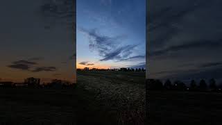 Bird Cloud Ottawa November 2024 [upl. by Boyd]