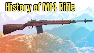 History of M14 Rifle [upl. by Cohe536]