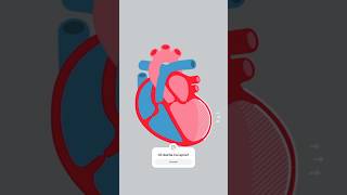 How Heart Expands दिल कैसे फैलता है amp how to Prevent cardiac Remodelling [upl. by Oihsoy496]